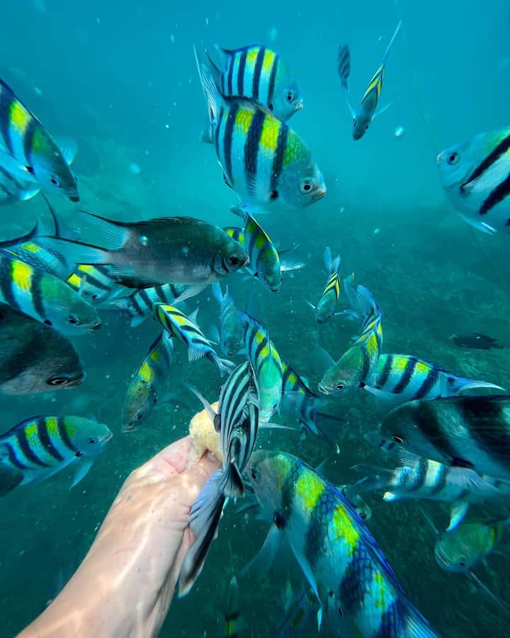 Zanzibar: Blue Lagoon, Rock Restaurant, Cave, and Beach Trip - Kuza Cave: a cool swim below the jungle
