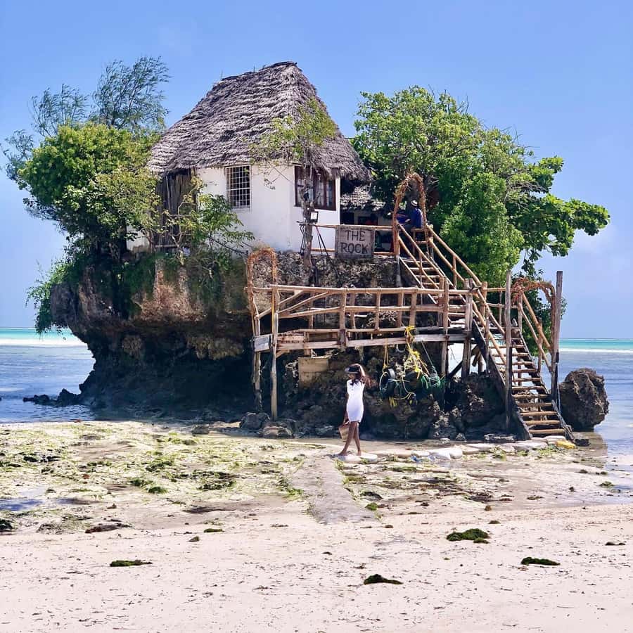 Zanzibar: Blue Lagoon, Rock Restaurant, Cave, and Beach Trip - Should you book it?