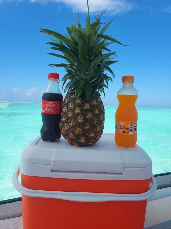 Zanzibar: Blue lagoon & Starfish - Fruit, drinks, and the human touch