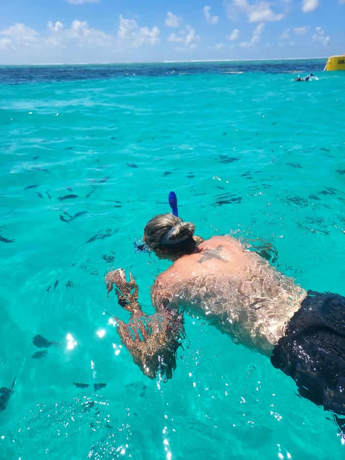 Zanzibar: Blue lagoon & Starfish - Timing, tides, and the best chance at quiet water