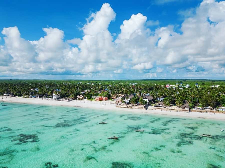 Zanzibar: Blue lagoon, Starfish, Paje Beach and Maalum Cave - Blue Lagoon: three hours around clear water and starfish