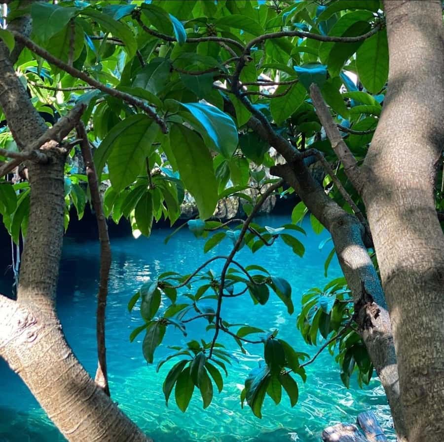 Zanzibar: Blue lagoon, Starfish, Paje Beach and Maalum Cave - Paje Beach: local lunch and a useful pause
