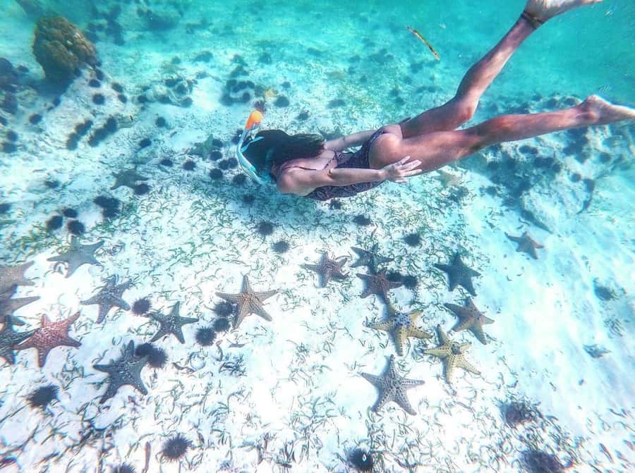 Zanzibar: Blue lagoon, Starfish, Paje Beach and Maalum Cave - The Rock Restaurant, best treated as a photo stop