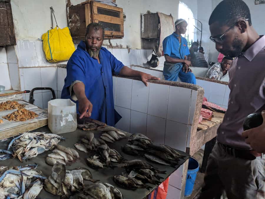 Zanzibar: Changuu Island and Stone Town Tour with Lunch - Museums, palaces, and Freddie Mercury’s former home