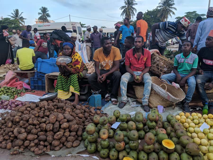 Zanzibar: Changuu Island and Stone Town Tour with Lunch - Boat safety, timing, and the small print that matters