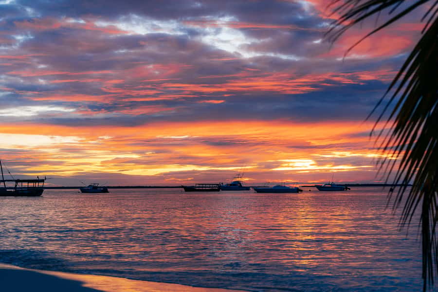 Zanzibar City: Sunset Sailing Tour with Snacks and Drinks - Setting off from Old Fort around 5 pm