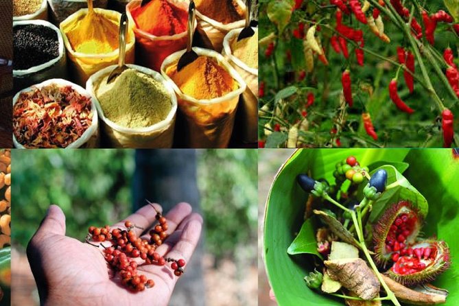 Zanzibar Cooking Class & Spice Tour - Cooking several local dishes with a host