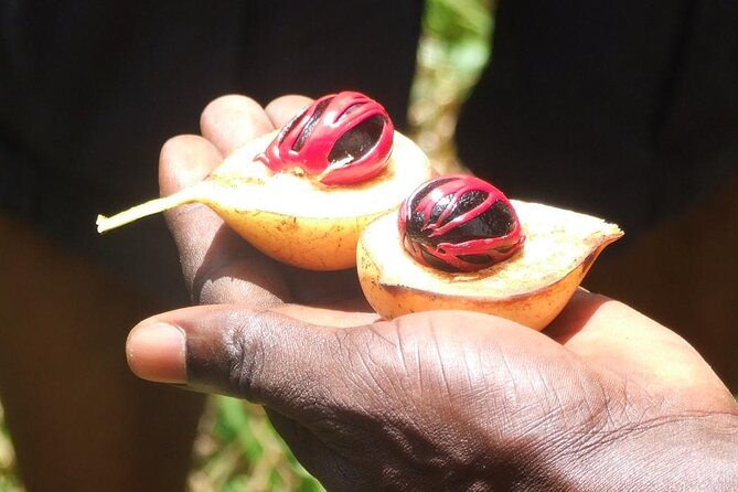 Zanzibar Cooking Class [Swahili food test ] and Spice farm Private tour - Lunch With the Ingredients You Have Seen