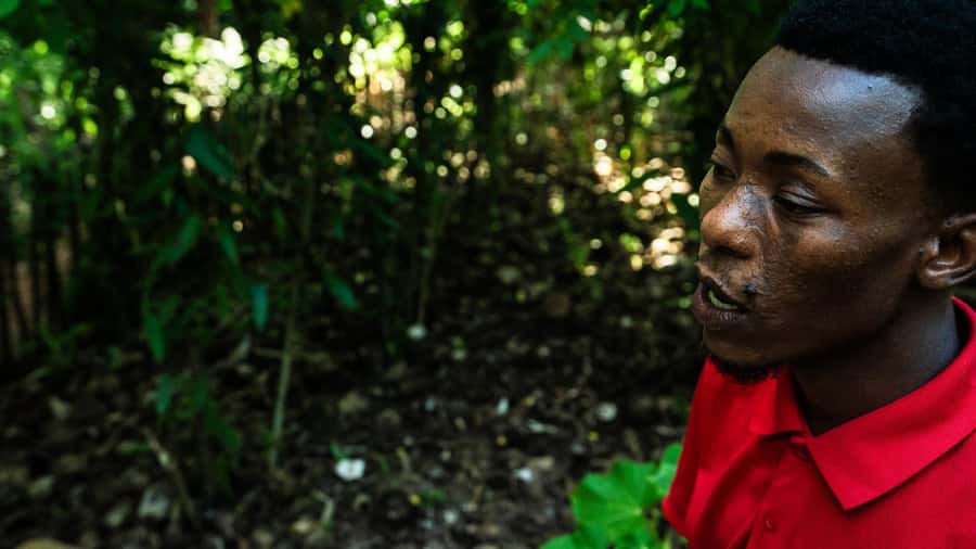 Zanzibar: Day Jozani Forest,Spice Farm,Nature and Savor Tour - Comparing the three tour versions