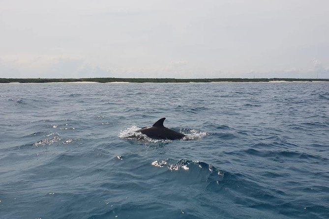 Zanzibar Deep Sea Fishing & Local fishing. - Sea conditions are the biggest practical concern