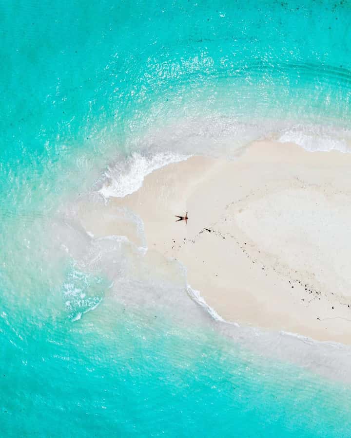 Zanzibar: Discover fullday snorkeling +sandbank BBQ - Key points to know before booking