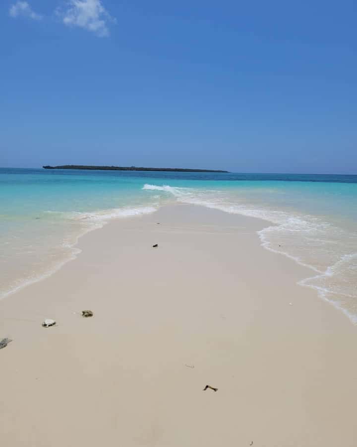 Zanzibar: Discover fullday snorkeling +sandbank BBQ - What the seafood BBQ includes