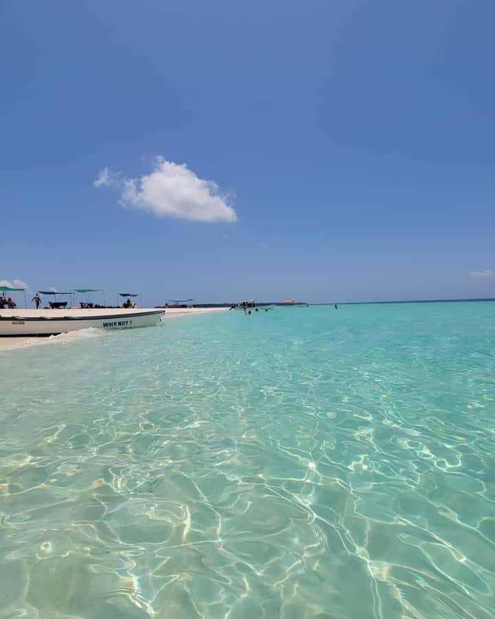 Zanzibar: Discover fullday snorkeling +sandbank BBQ - Pickup, languages, and day-to-day practicalities