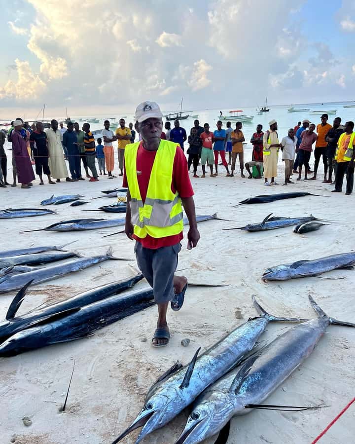 ZANZIBAR FISHING EXPRIENCE - Key points to know before booking