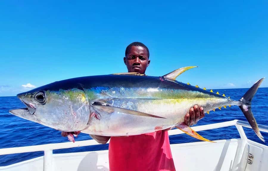 ZANZIBAR FISHING EXPRIENCE - The reef session adds variety