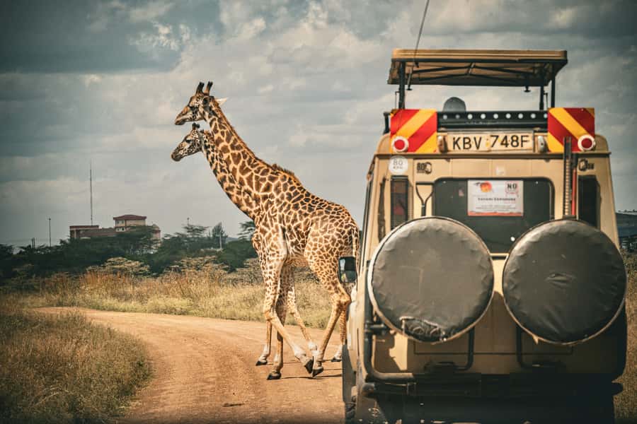 Zanzibar: Fly to Nyerere National Park – 2-Day Safari - Key points to know before you book