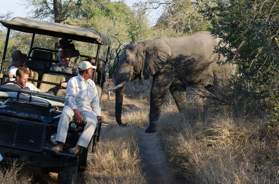 Zanzibar: Fly to Nyerere National Park – 2-Day Safari - Why this Zanzibar safari works in two days