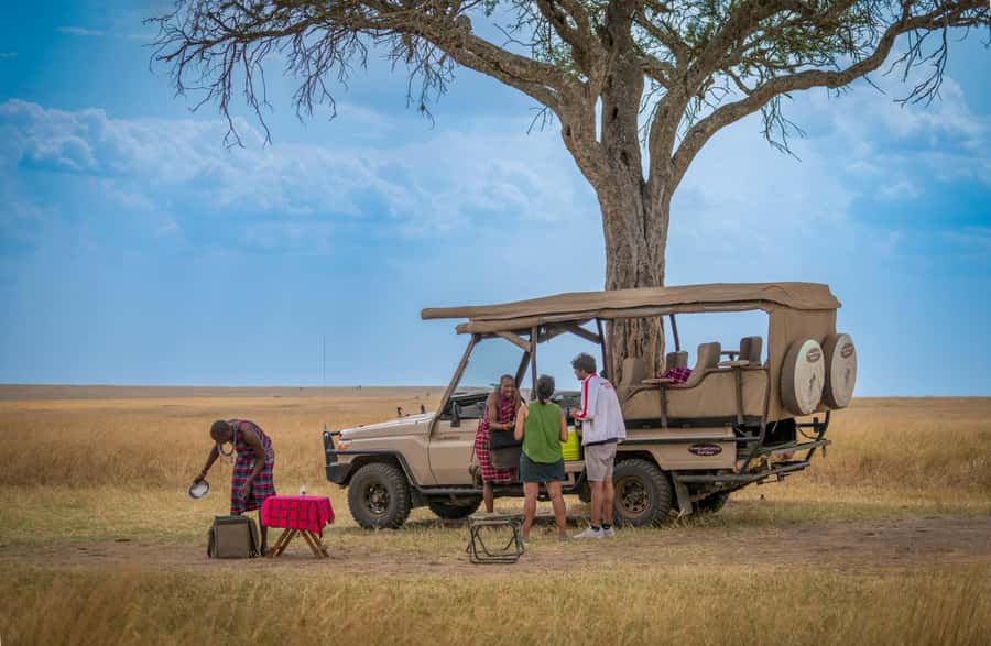 Zanzibar: Fly to Nyerere National Park – 2-Day Safari - Is $741 per person good value?