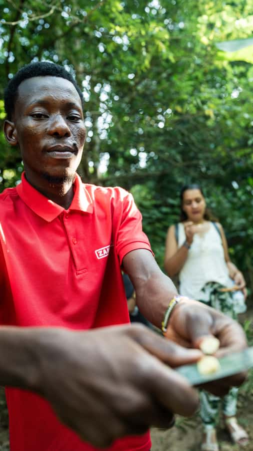 Zanzibar: Half-Day Prison Island, Tortoises and Spices Tour - The spice farm and Zanzibar’s famous aromas