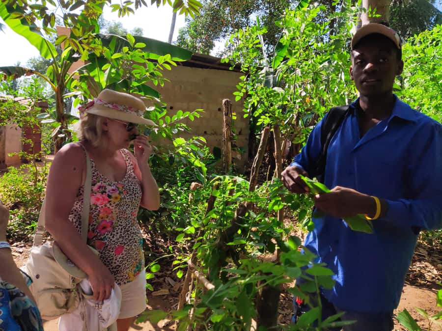 Zanzibar: Half-Day Prison Island, Tortoises and Spices Tour - How good is the guiding?
