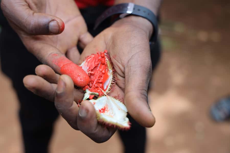Zanzibar: Half-Day Spice Farm Tour,the flavours of Zanzibar - Key points at a glance
