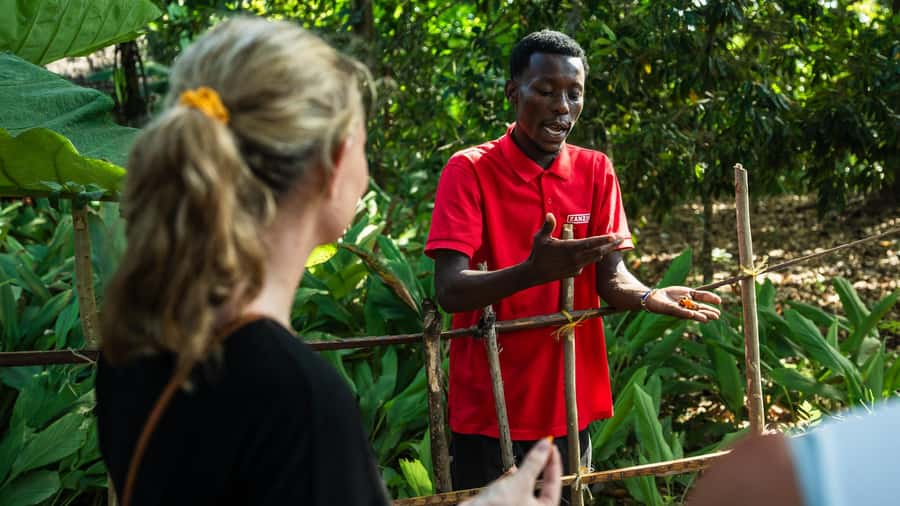 Zanzibar: Half-Day Spice Farm Tour,the flavours of Zanzibar - Walking through the private spice farm