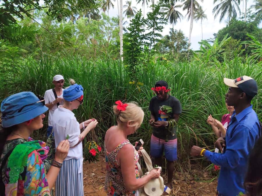 Zanzibar: Half-Day Spice Farm Tour,the flavours of Zanzibar - Is $55 a fair price?