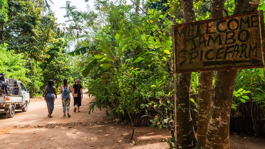 Zanzibar: Half-Day Spice Farm Tour,the flavours of Zanzibar - The ride from Zanzibar takes planning