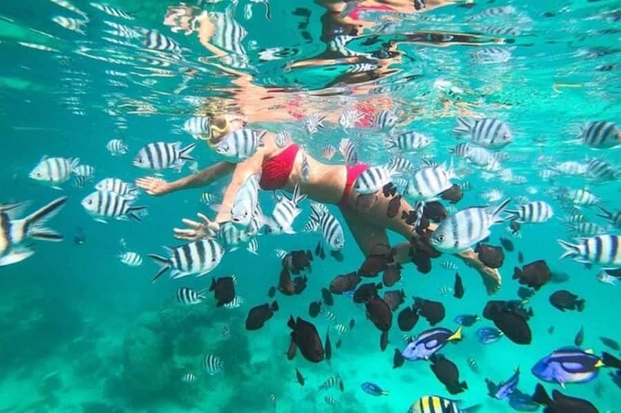 Zanzibar Half Day Trip in Mnemba Island - Snorkeling around Mnemba’s protected reef