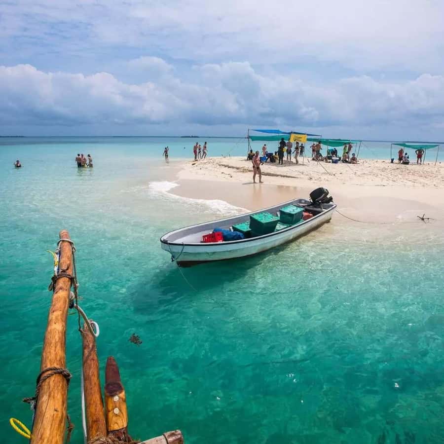 Zanzibar: Half Day Trip on Nakupenda with Prison Island - Snorkeling around Prison Island’s coral fringes