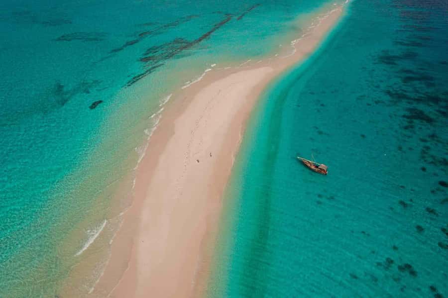 Zanzibar: Half Day Trip on Nakupenda with Prison Island - Meeting the giant Seychelles tortoises