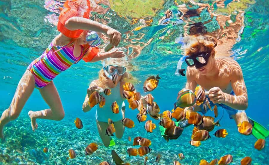 Zanzibar hidden: Starfish, Blue Lagoon, &The Rock Restaurant - Three South Zanzibar sights in one half-day