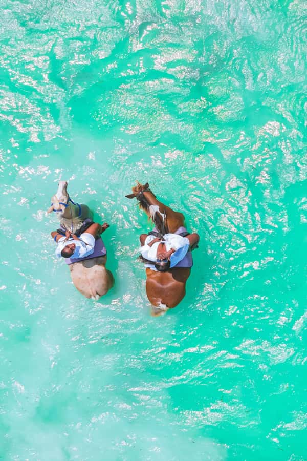 Zanzibar: Horse Riding and Kayaking with Video and Photos - A private group keeps the pace simple
