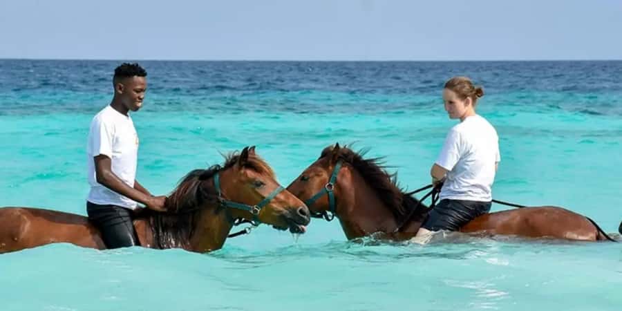 Zanzibar Horseback Riding - Riding across the white sand