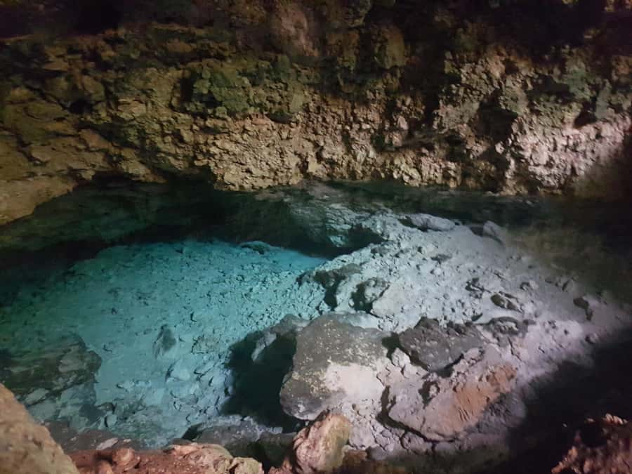 Zanzibar: Horseback Riding and Turtle Aquarium Visit - Who will enjoy this Zanzibar experience