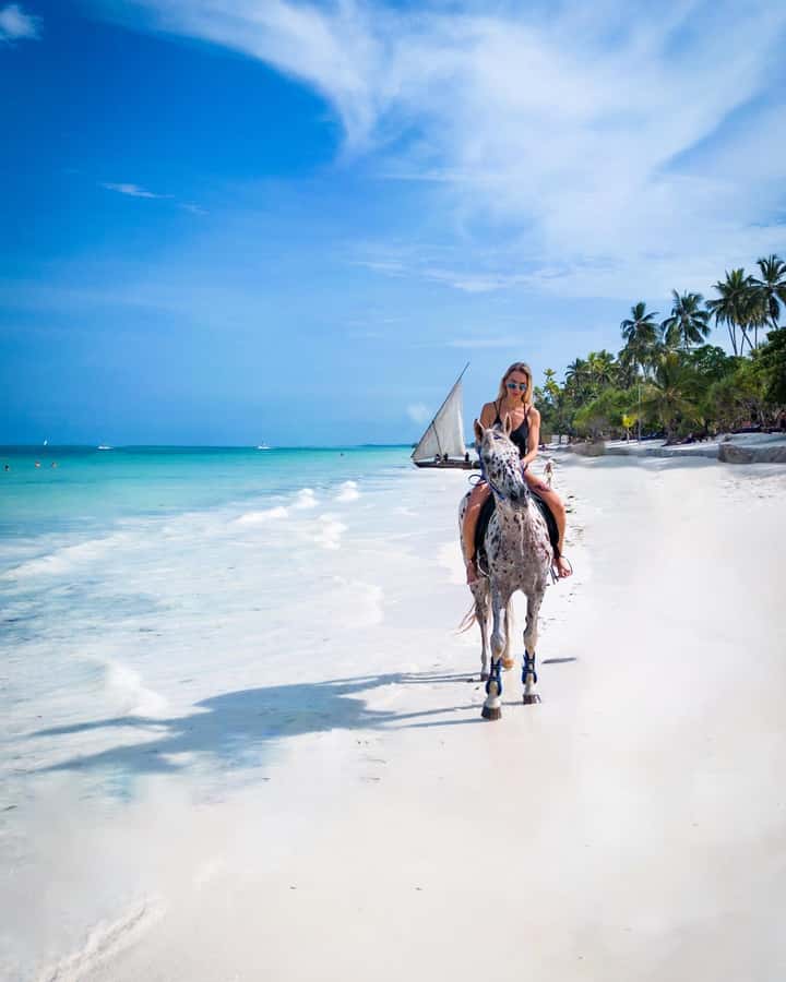 Zanzibar: Horseback Riding and Turtle Swimming Tour - Baraka Natural Turtle Aquarium and its saltwater lagoon