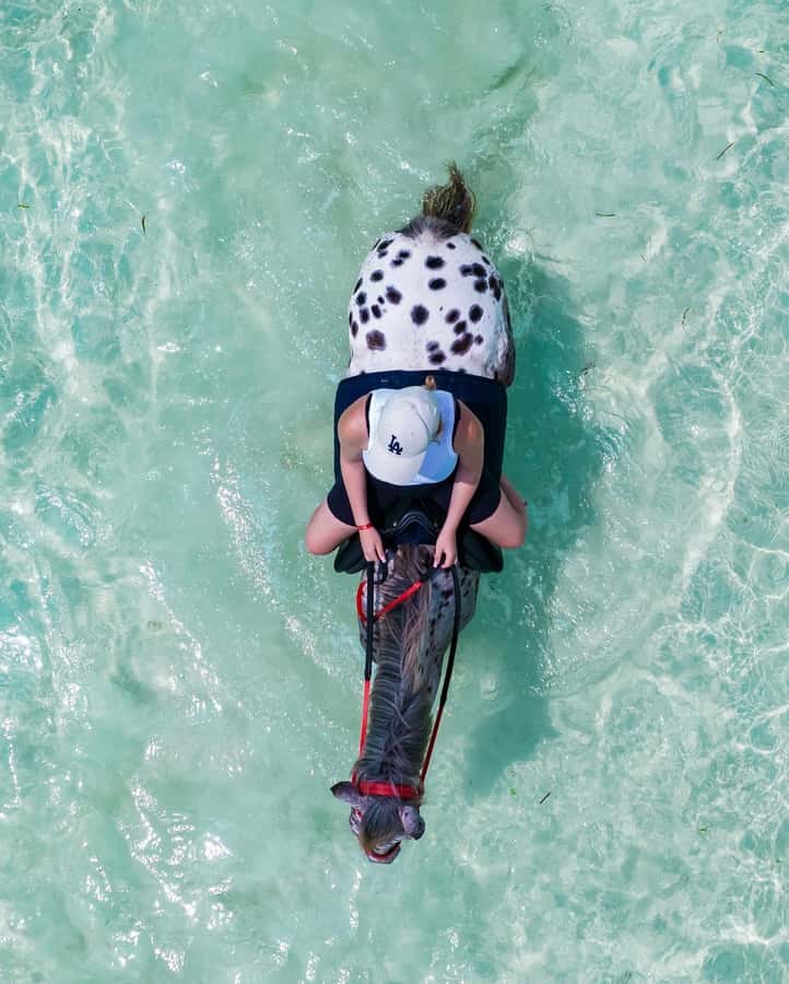 Zanzibar: Horseback Riding and Turtle Swimming Tour - Timing, guides, and the small details that matter