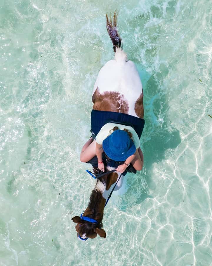 Zanzibar: Horseback Riding and Turtle Swimming Tour - Who will enjoy this Zanzibar outing?