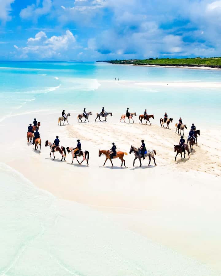 Zanzibar: Horseback Riding and Turtle Swimming Tour - Practical ways to make the day better