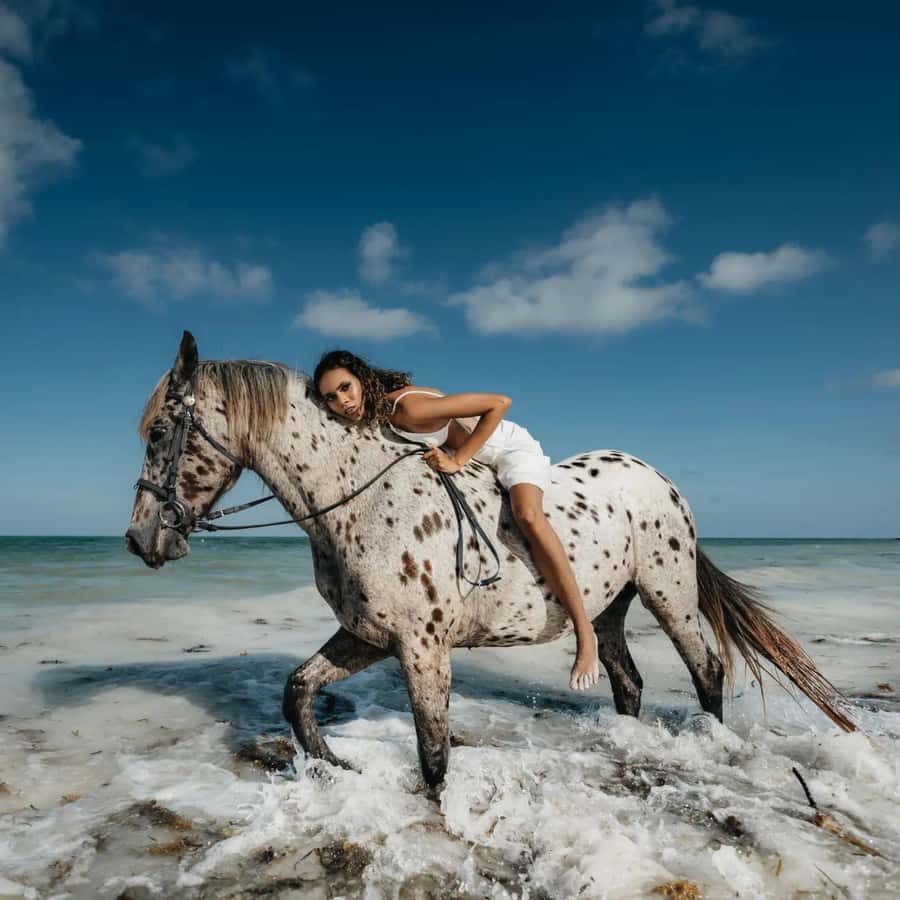 Zanzibar: Horseback Riding and Turtle Swimming Tour - Should you book the horseback and turtle tour?