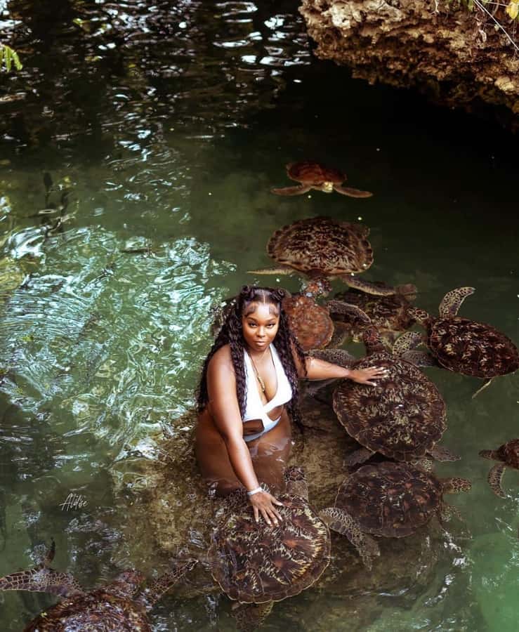 Zanzibar: Horseback Riding and Turtle Swimming Tour - Hotel pickup and the long road between activities