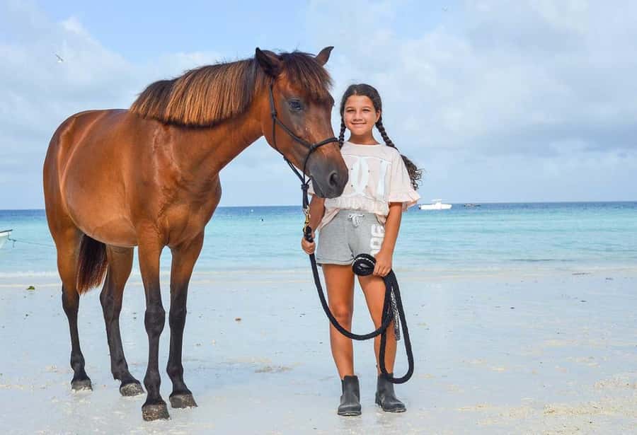 Zanzibar Horseback Riding - Meeting your horse and getting comfortable