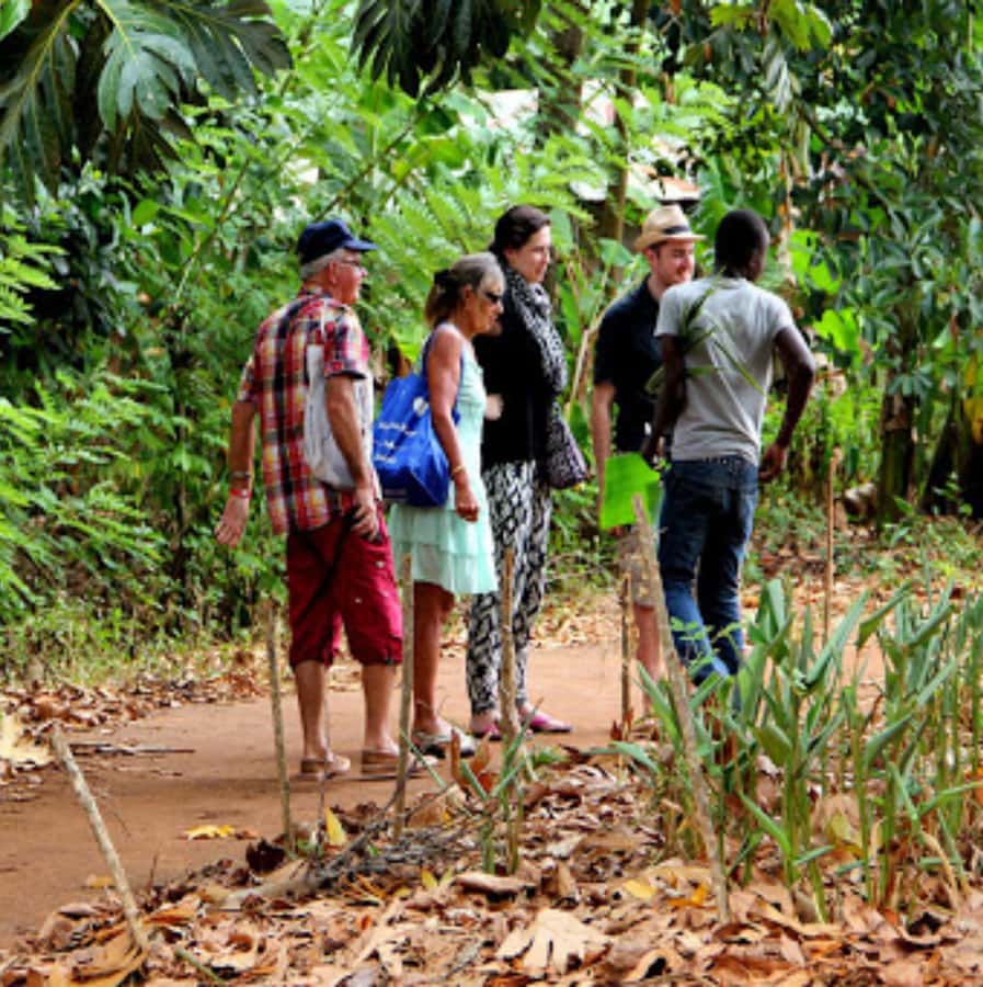 Zanzibar: Jozani Forest and Swim with Sea Turtles. - Guides, languages, and the importance of communication