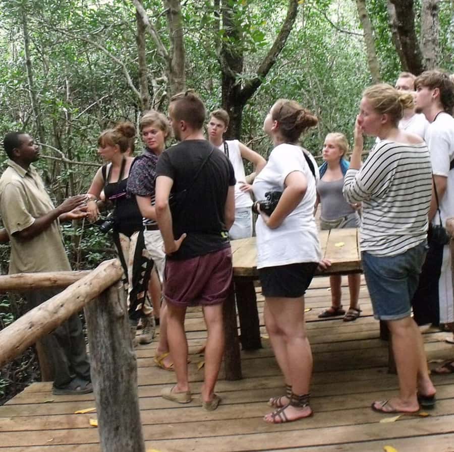 Zanzibar: Jozani Forest and Swim with Sea Turtles. - Who will enjoy this experience most?