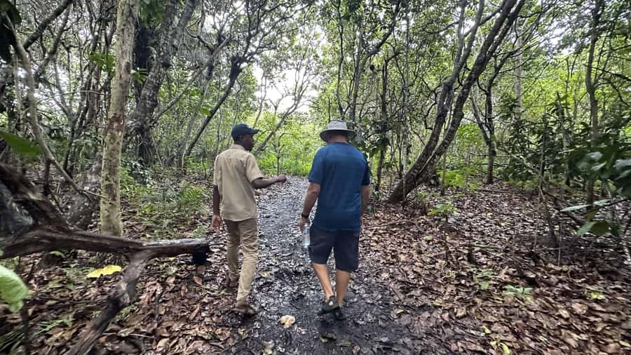 Zanzibar: Jozani forest, Butterfly center & Salaam cave tour - Starting with Jozani’s red colobus monkeys