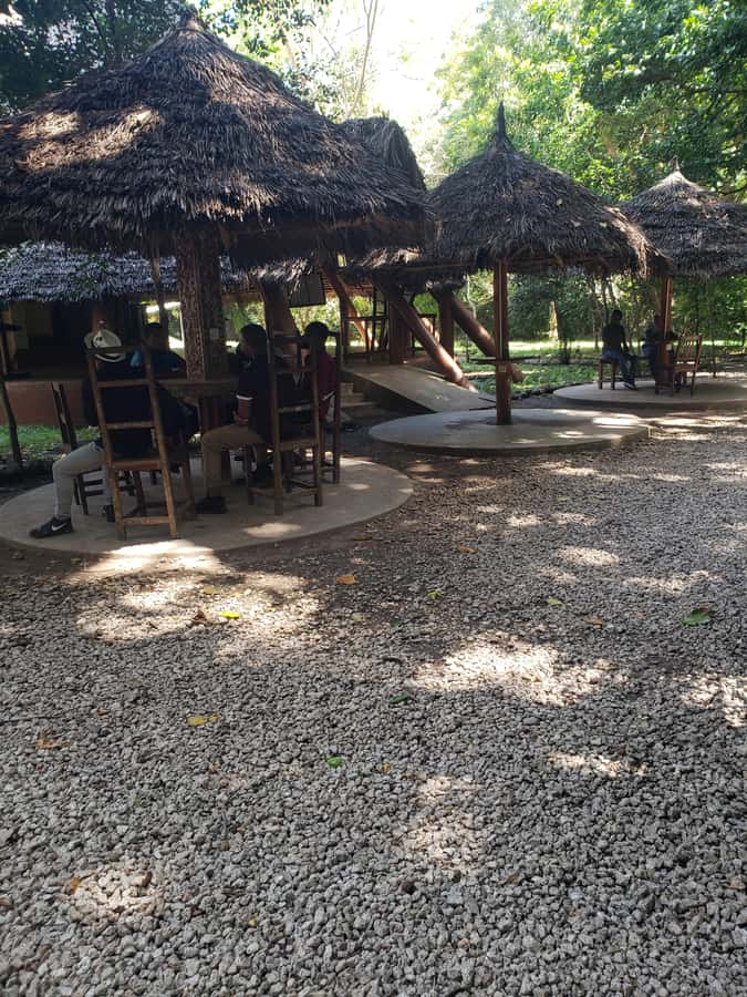 Zanzibar: Jozani forest, Butterfly center & Salaam cave tour - Should you book this Zanzibar day tour?