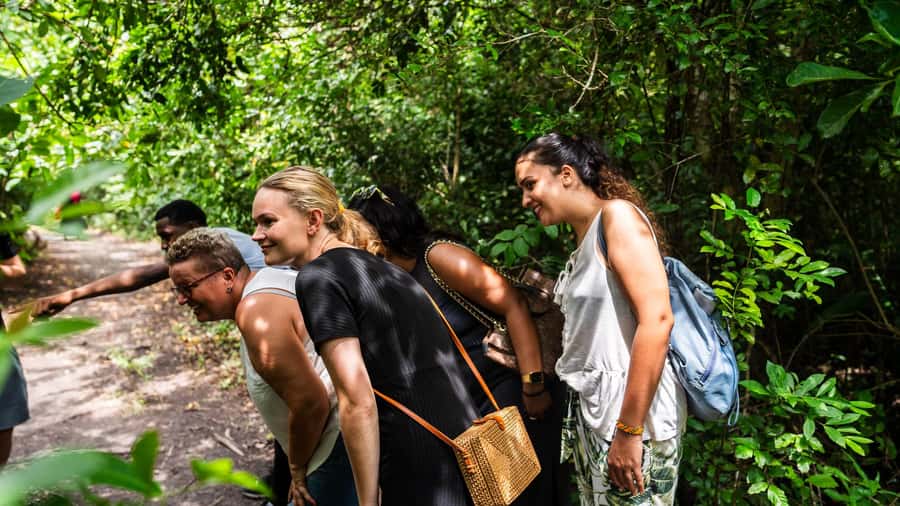 Zanzibar: Jozani Forest Guided Tour,Red Colobus and transfer - The one-hour drive from your hotel