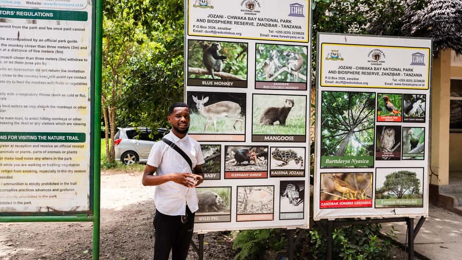Zanzibar: Jozani Forest Guided Tour,Red Colobus and transfer - Should you book the Jozani Forest tour?
