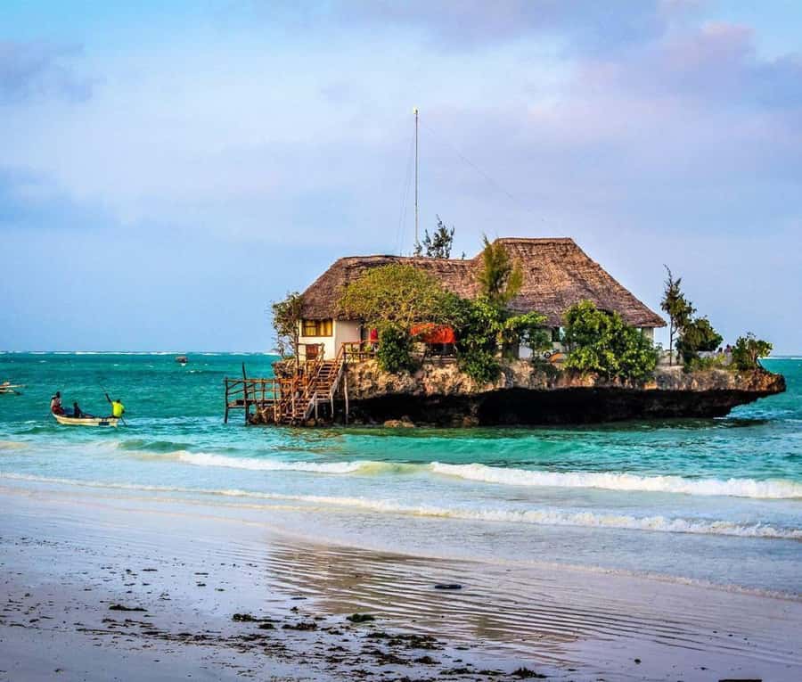 Zanzibar: Jozani Forest, Kuza Cave and Stand Up Paddle Tour - Jozani Forest and the Red Colobus Monkeys