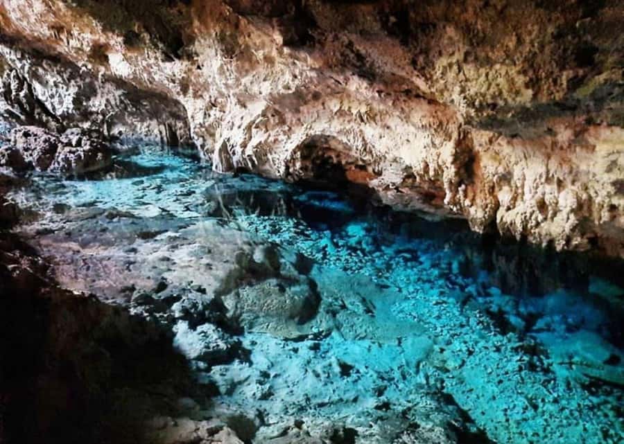 Zanzibar: Jozani Forest, Kuza Cave and Stand Up Paddle Tour - Pace, comfort, and access